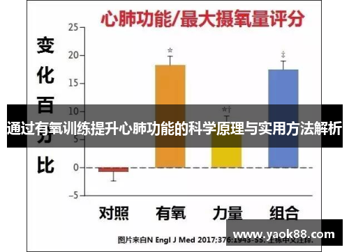通过有氧训练提升心肺功能的科学原理与实用方法解析